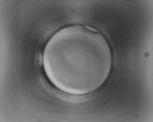 X0000113740027200910211134