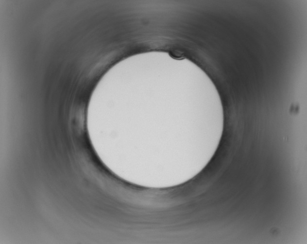 X0000113740028200910211134
