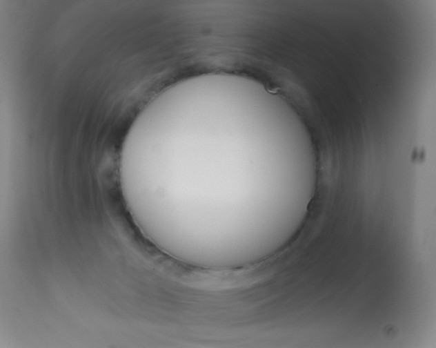 X0000113740029200910211134