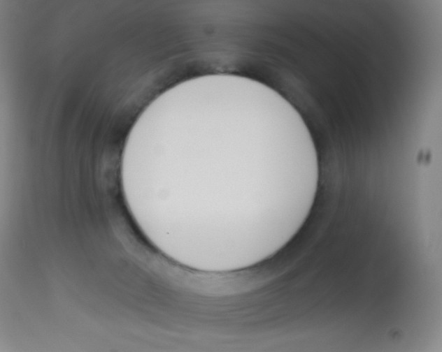 X0000113740030200910211134