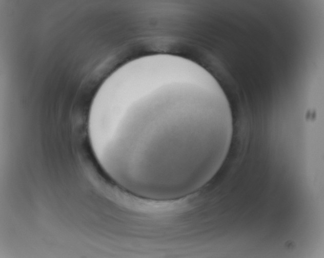 X0000113740031200910211134