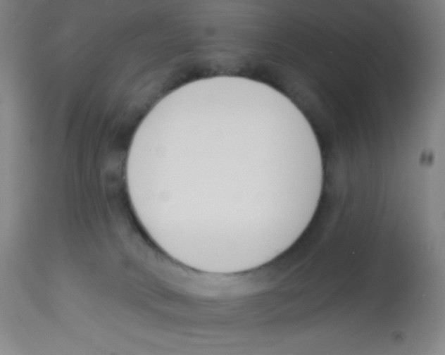 X0000113740034200910211134