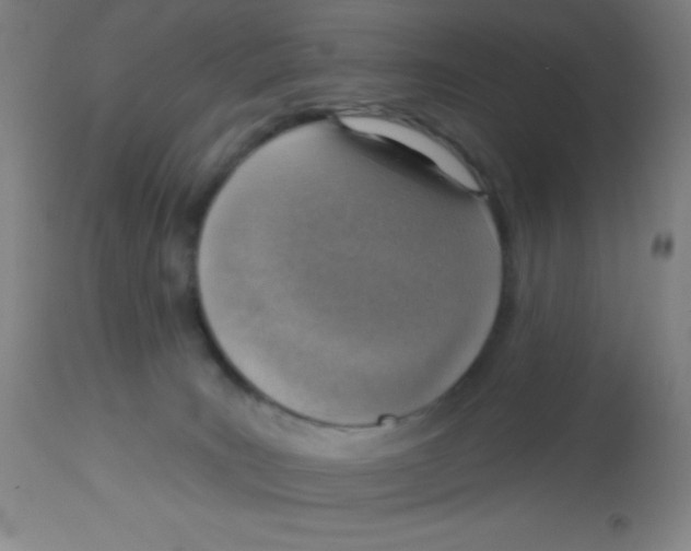 X0000113740035200910211134