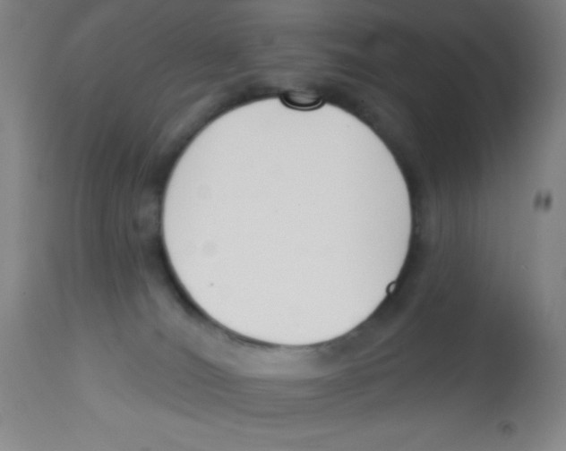 X0000113740036200910211134