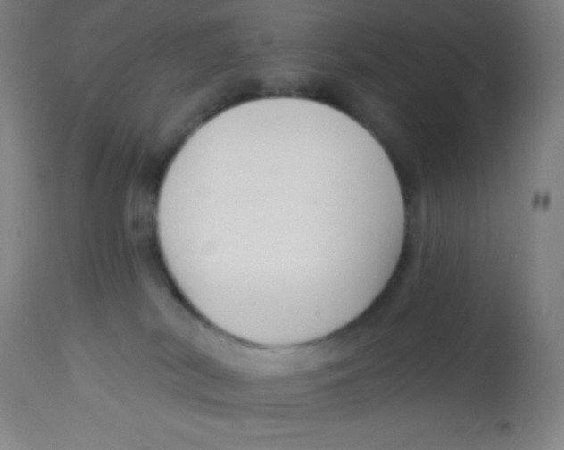 X0000113740038200910211134