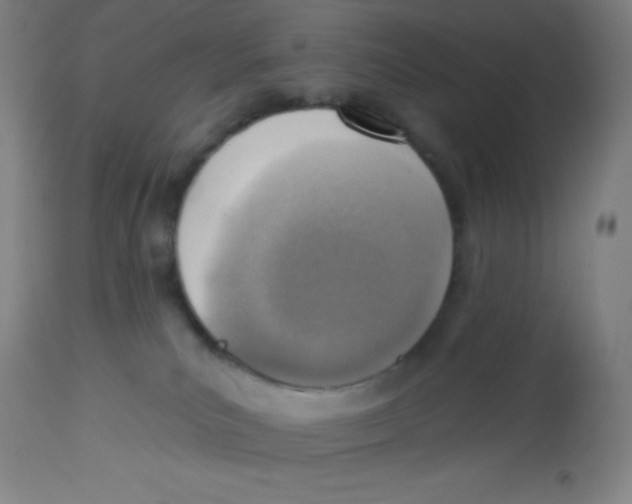 X0000113740039200910211134