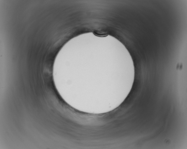 X0000113740040200910211134