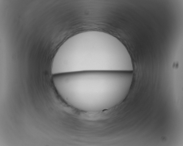 X0000113740041200910211134