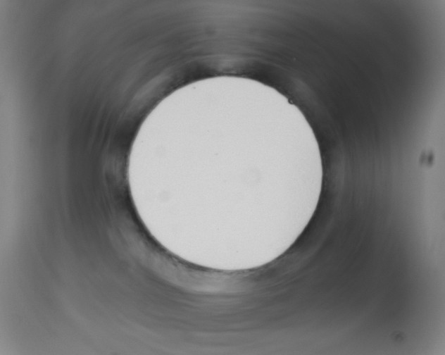 X0000113740044200910211134