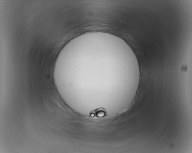 X0000113740045200910211134