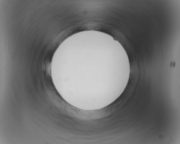 X0000113740046200910211134