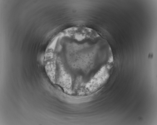 X0000113740047200910211134