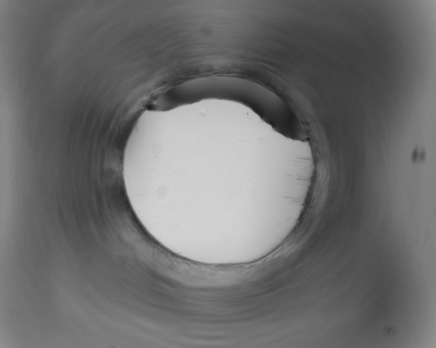 X0000113740048200910211134