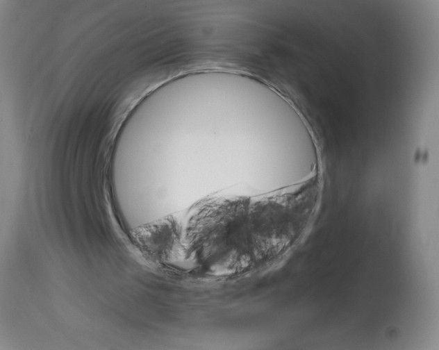 X0000113740049200910211133