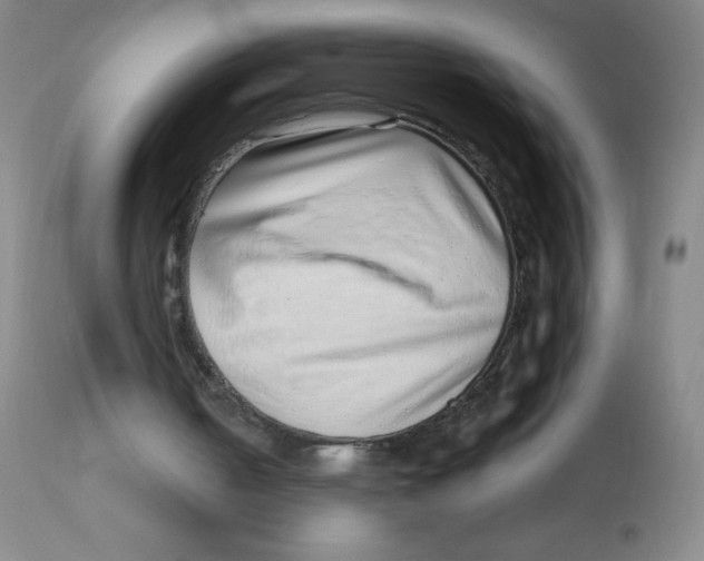 X0000113740050200910211133