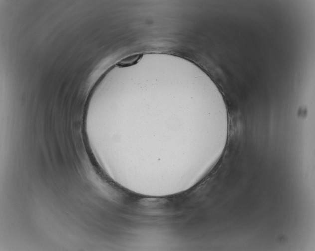 X0000113740051200910211133