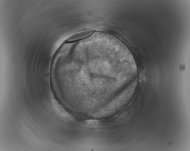 X0000113740052200910211133