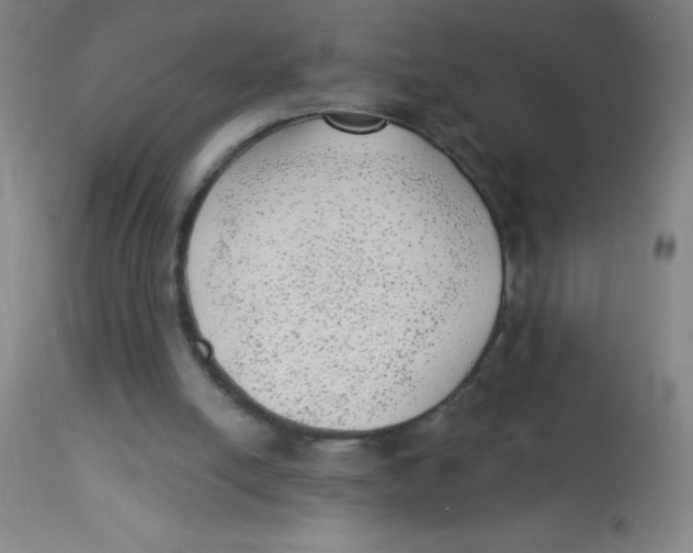 X0000113740054200910211133