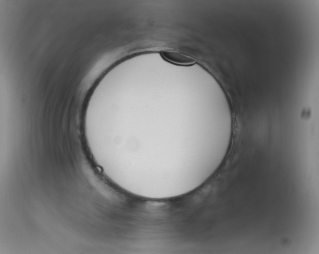X0000113740055200910211133
