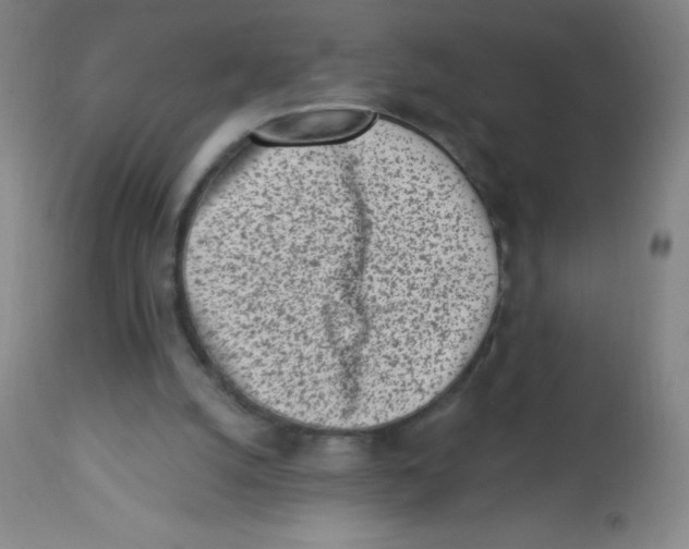 X0000113740056200910211133