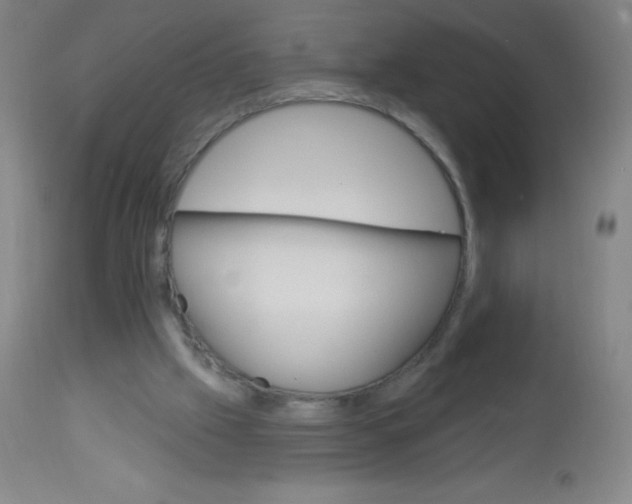 X0000113740057200910211133