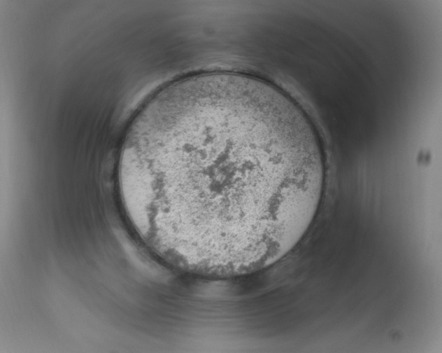 X0000113740058200910211134