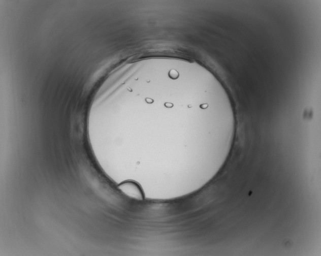 X0000113740059200910211134