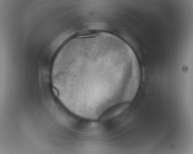 X0000113740060200910211134