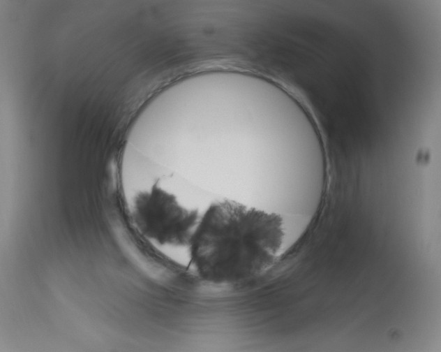 X0000113740061200910211134