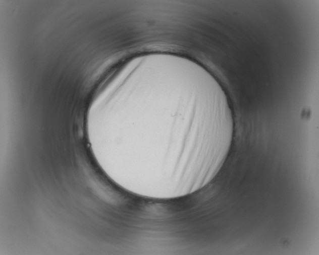 X0000113740062200910211134