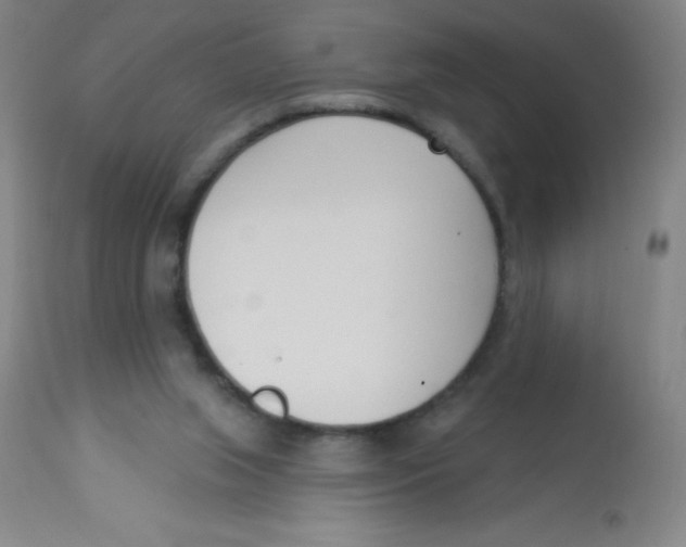X0000113740063200910211134