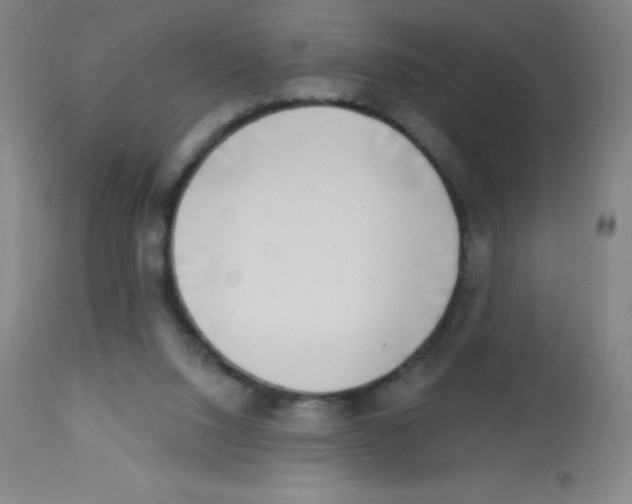X0000113740064200910211134