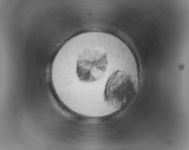 X0000113740065200910211134