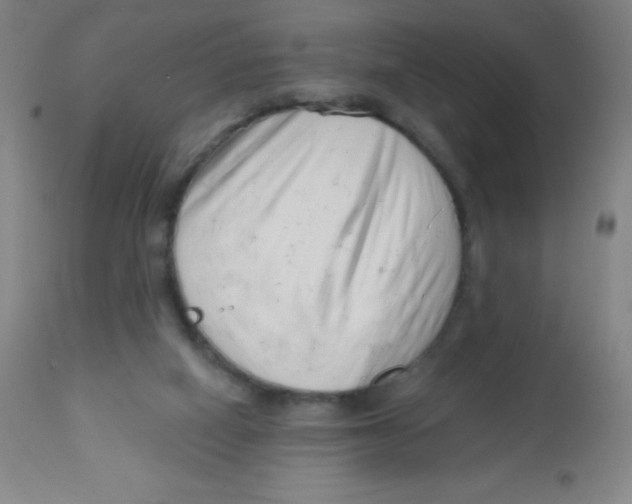 X0000113740066200910211134