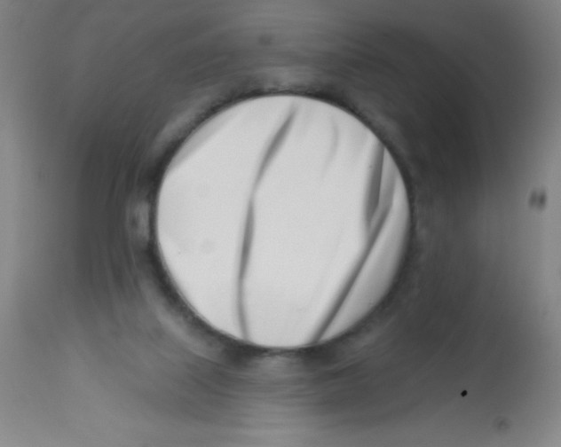 X0000113740067200910211134
