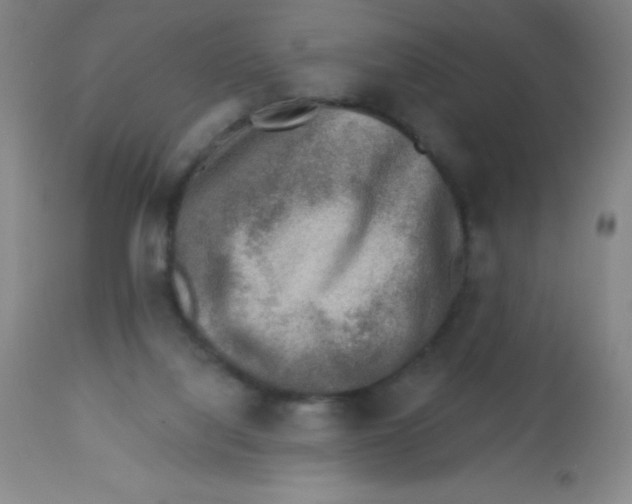 X0000113740068200910211134