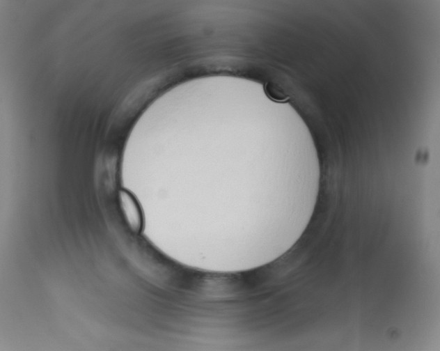 X0000113740070200910211134
