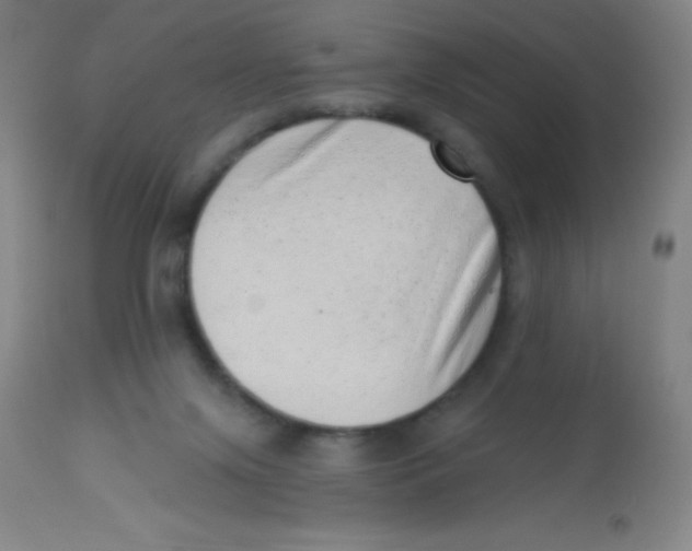 X0000113740071200910211134
