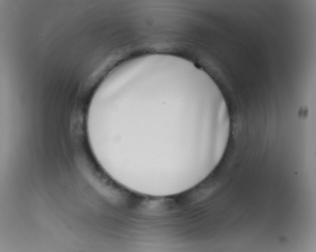 X0000113740072200910211134