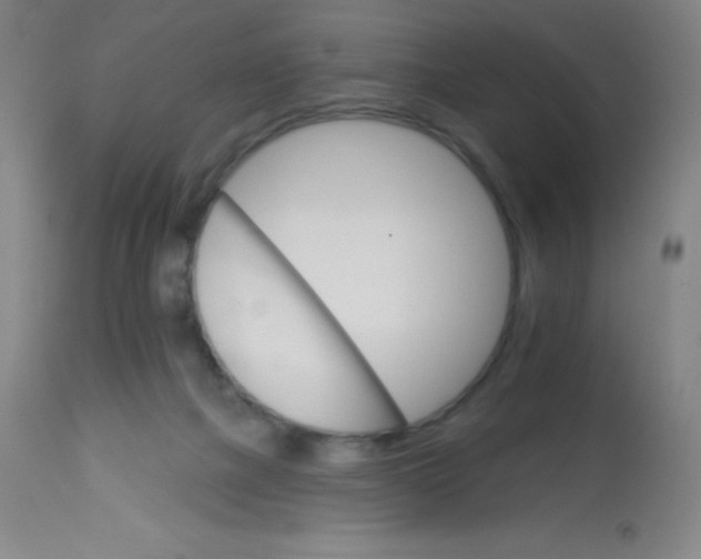 X0000113740073200910211134