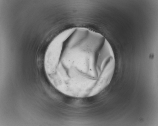 X0000113740074200910211134