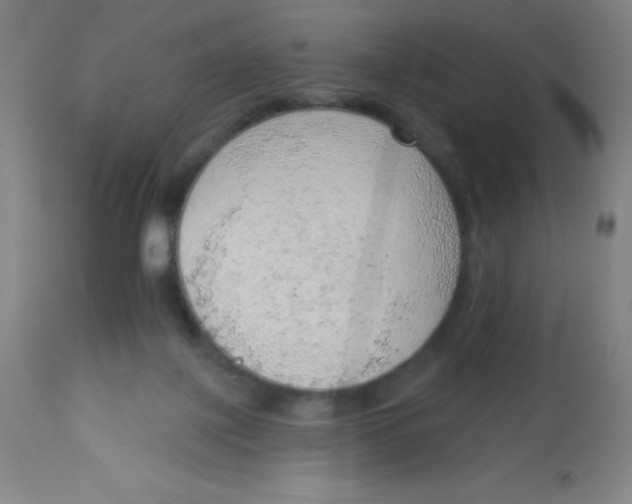 X0000113740075200910211134
