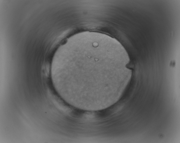 X0000113740076200910211134