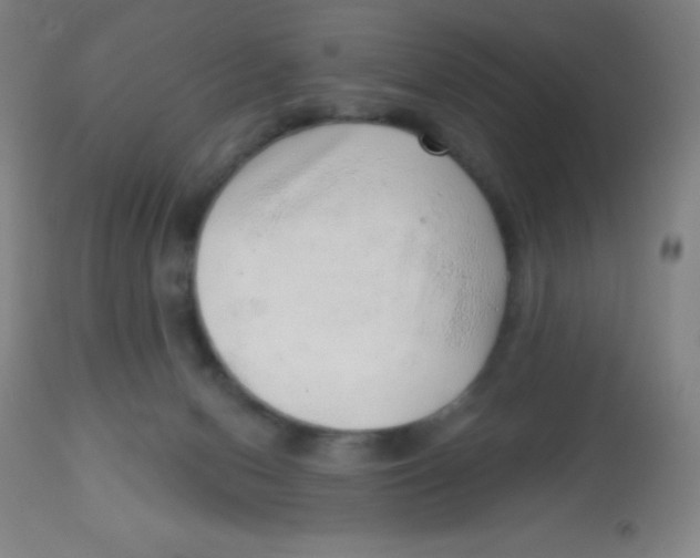 X0000113740078200910211134