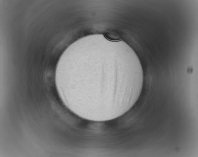 X0000113740079200910211134