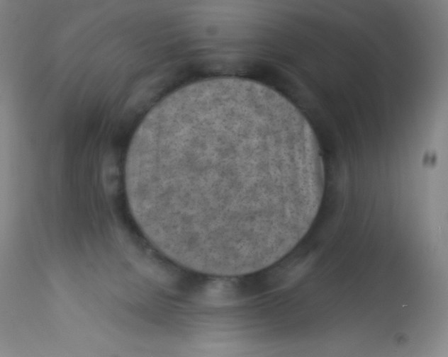 X0000113740080200910211134