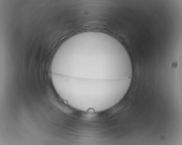 X0000113740081200910211134