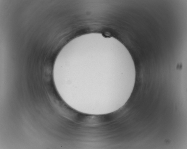 X0000113740082200910211134