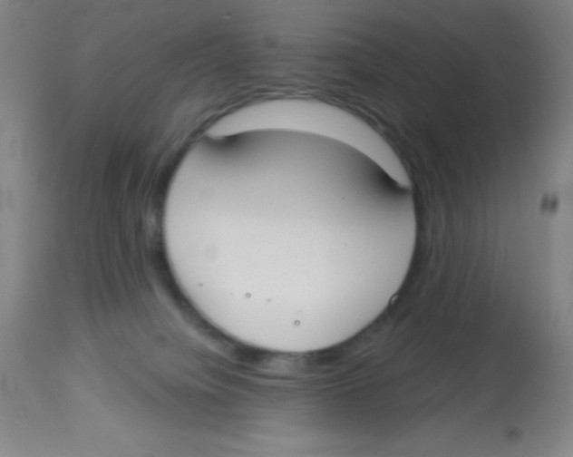 X0000113740084200910211134