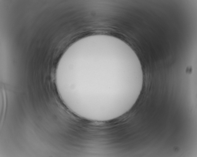 X0000113740085200910211134